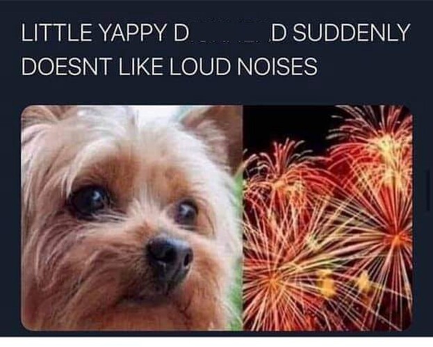 FireDog