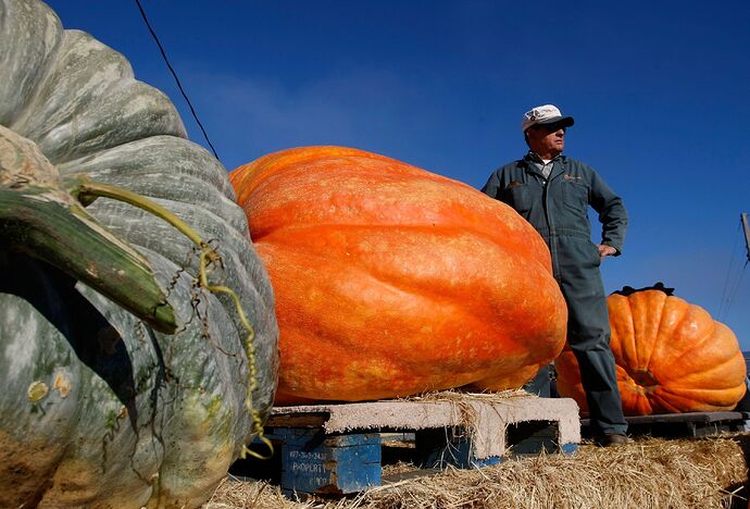 How to Grow a Giant Pumpkin