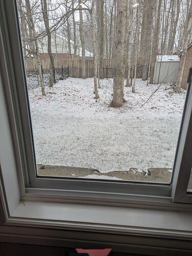 PXL_20260407_124331175.MP