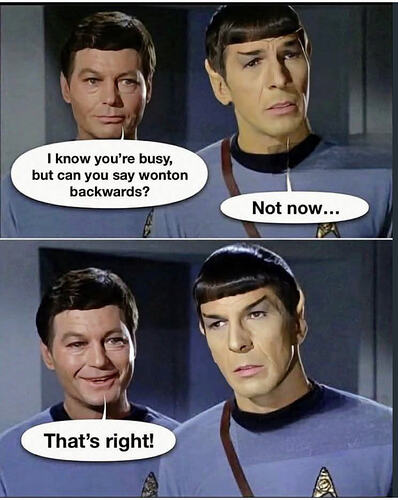 star trek wonton