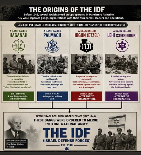 FBIMG1786388646608