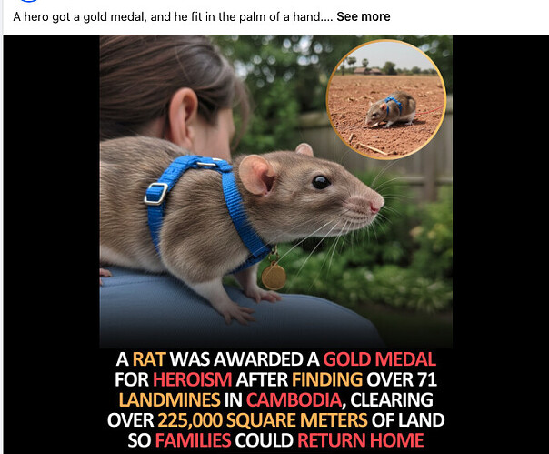 Screenshot 2025-12-23 at 10.43.03 PM