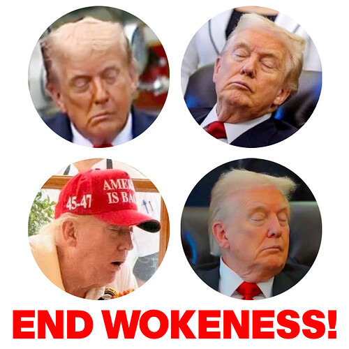 ad9abc5c-385e-4e87-9e95-d89d5e08ef62