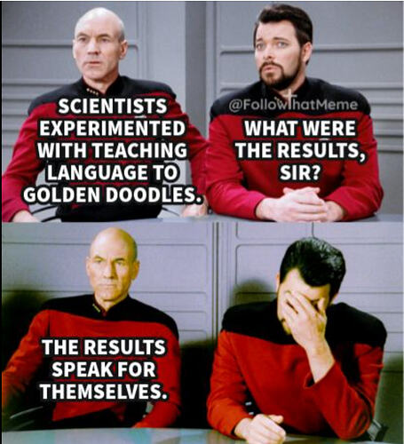 star trek golden doodles
