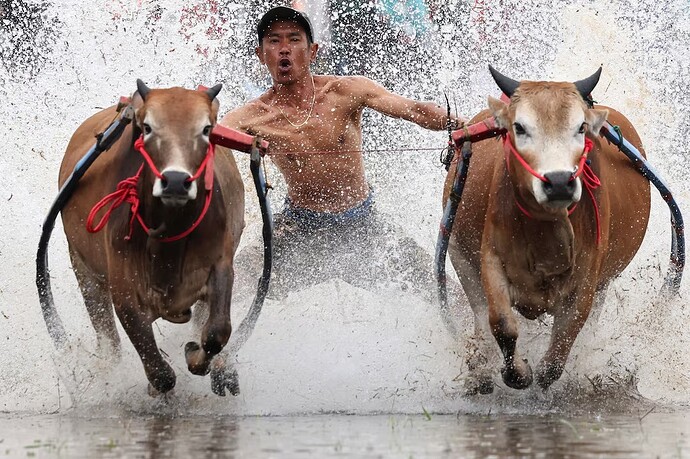 17745350703802386823777513668341