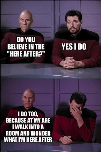 star trek hereafter