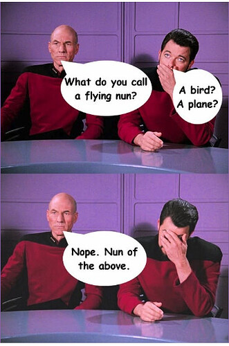 star trek flying nun