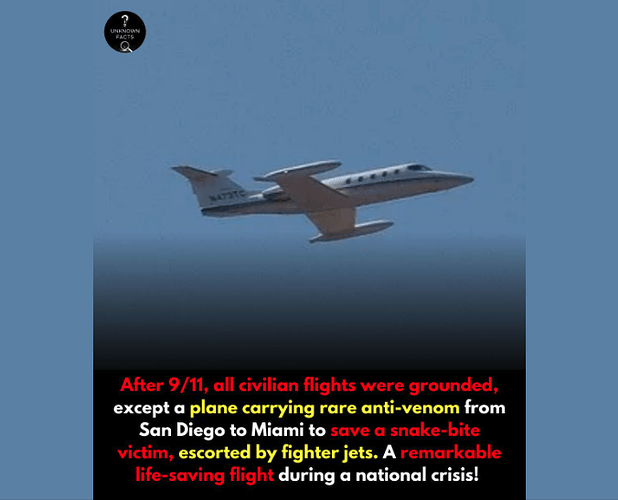 Screenshot 2025-11-21 at 7.00.11 PM