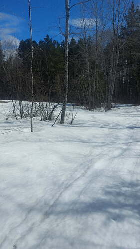 image000002