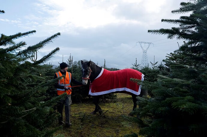 17652927881533909652484240947446