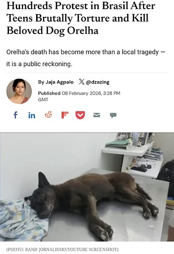 Screenshot_20260213_161649_Samsung Internet