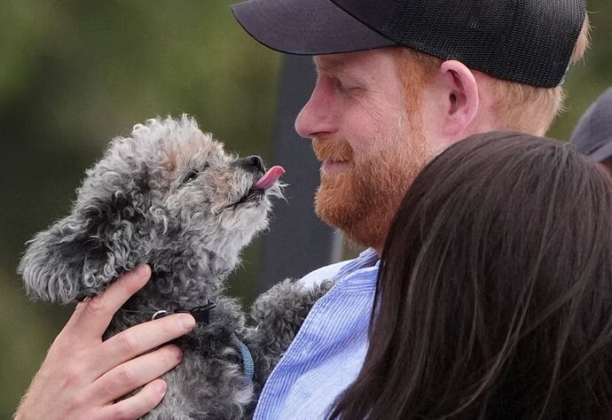 17764597938293703249110938723469