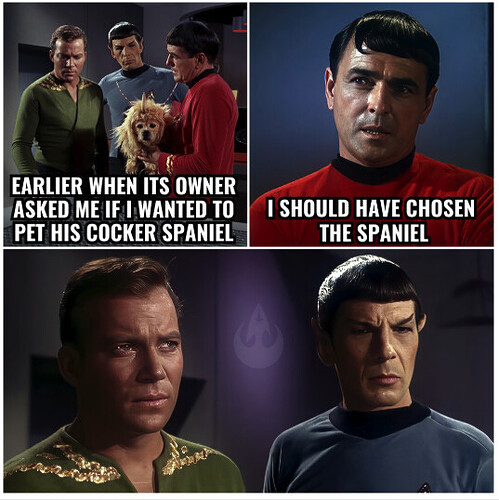 star trek cocker spaniel