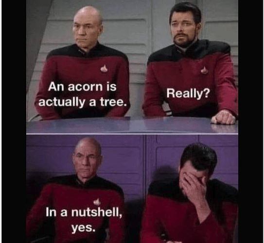 star trek nutshell