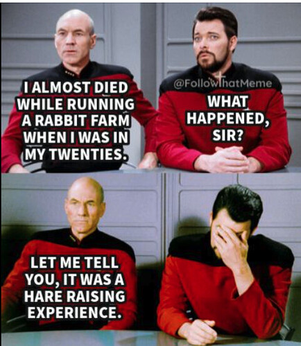 star trek hare raising