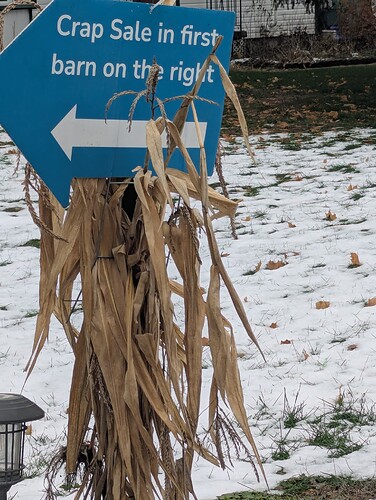 PXL_20251115_173516054