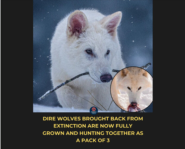 Screenshot 2026-02-22 at 12.13.46 PM