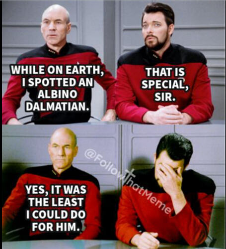 star trek dalmation