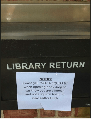 not a squirrel