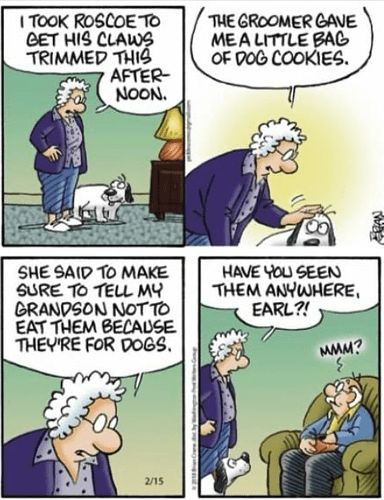 dog cookies