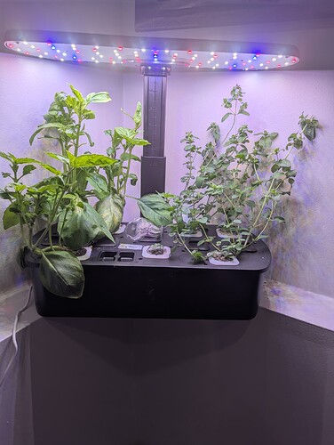 PXL_20251022_184157951