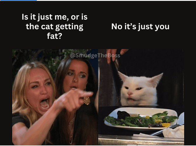 smudge cat getting fat