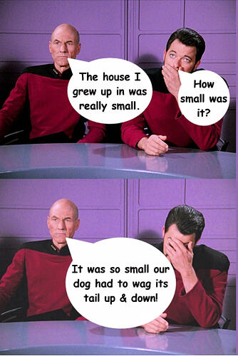star trek small dog
