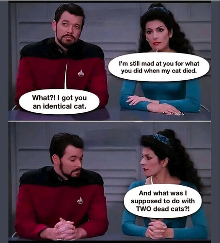 star trek identical cat