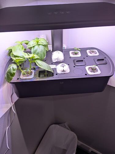 PXL_20250922_134545478