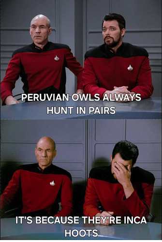 star trek incahoots