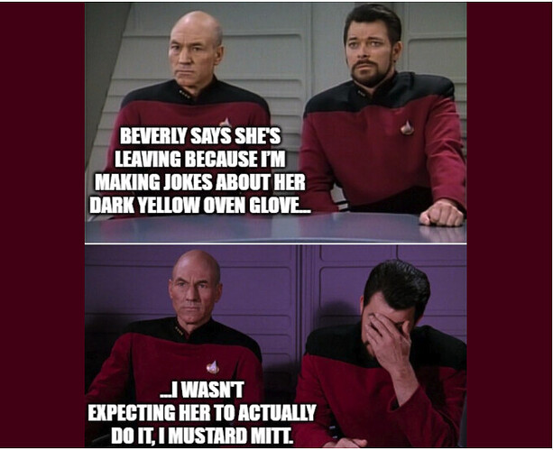 star trek oven glove