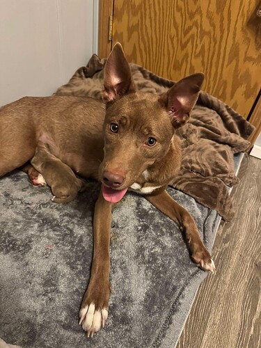 22b790152a2740b64eb42ead2eef1ac4