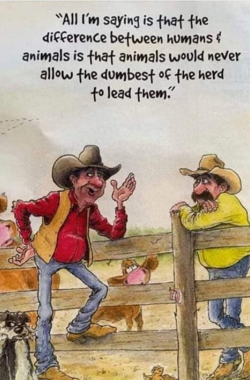 dumbest animal to lead them