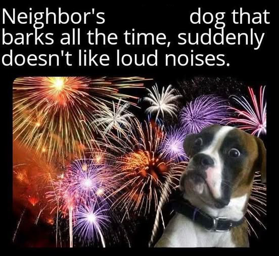 dog and fireworks