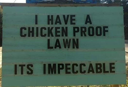 Impeccable lawn