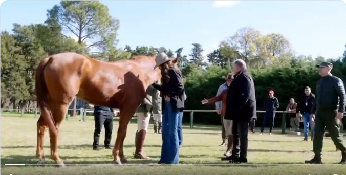 Screenshot 2025-07-29 at 19-33-14 Post by @gtconway.bsky.social — Bluesky